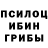 Галлюциногенные грибы Psilocybe HOOLIGAN_98