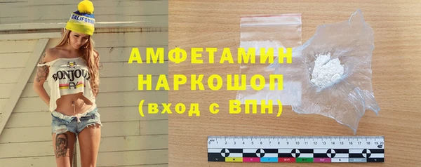 прущий лед Бикин
