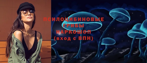apvp Надым