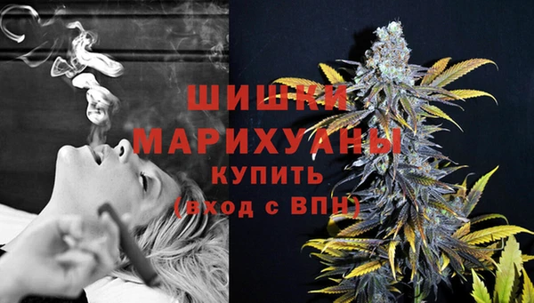 apvp Надым