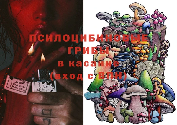 стафф Билибино