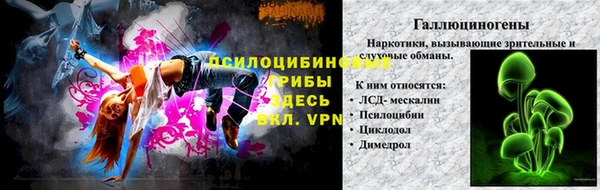 прущий лед Бикин